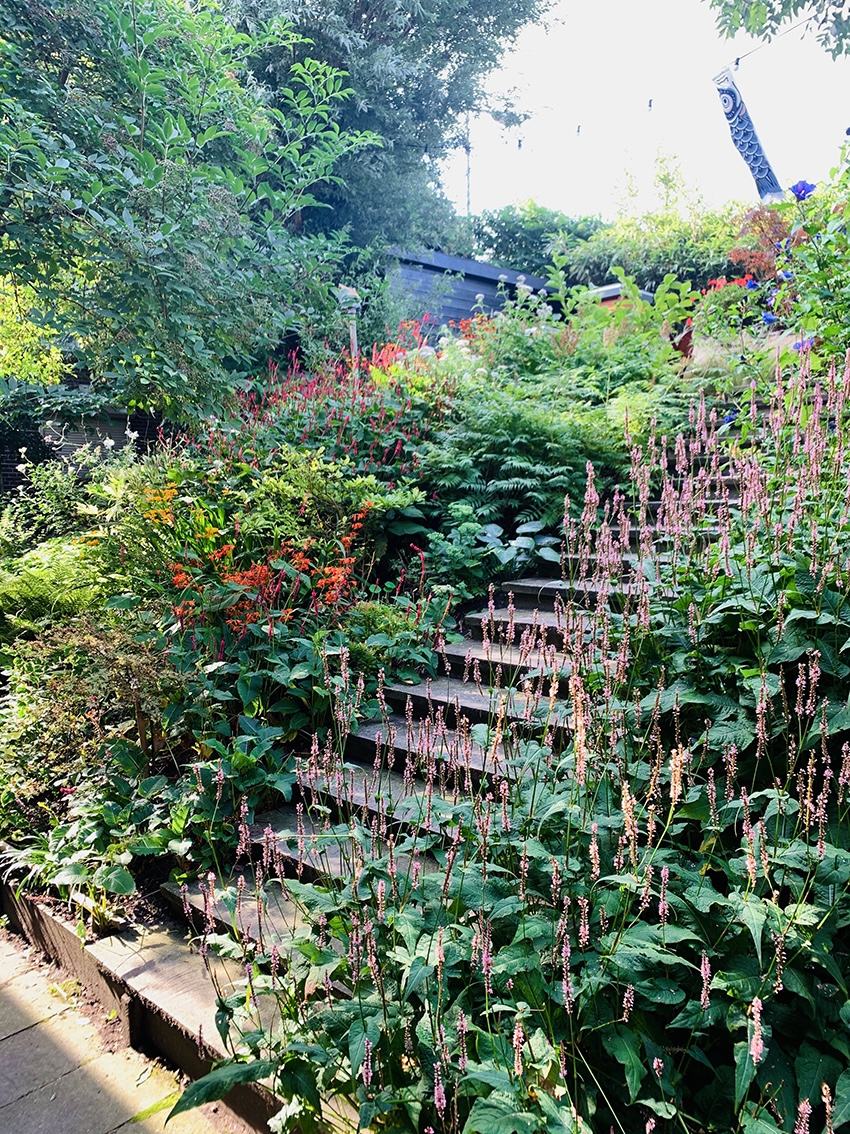 Gek op Locatie locaties